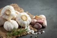 PET FOOD SAFETY AND TOXICITY: IS GARLIC SAFE FOR DOGS TO EAT?